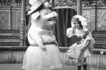 A scary pig.